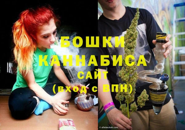 молекула духа Магас